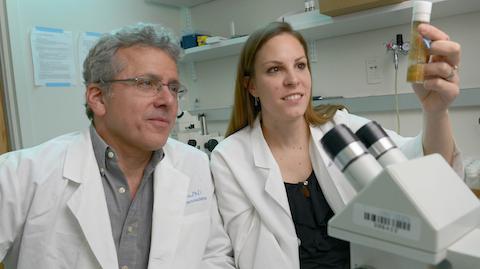 Annika Wylie, PhD
